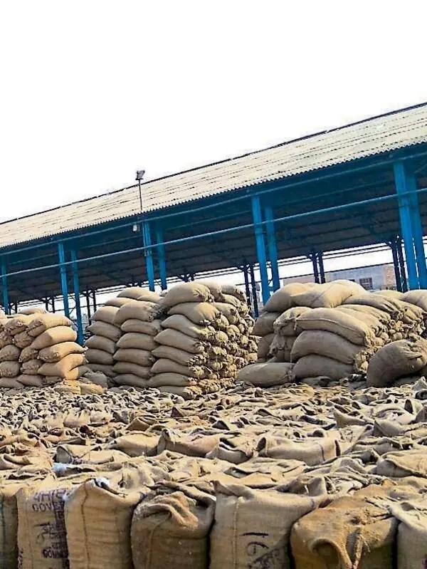 Jute sacks of milled rice stacked at an Indian mill yard.